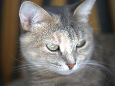 DSC04187.jpg